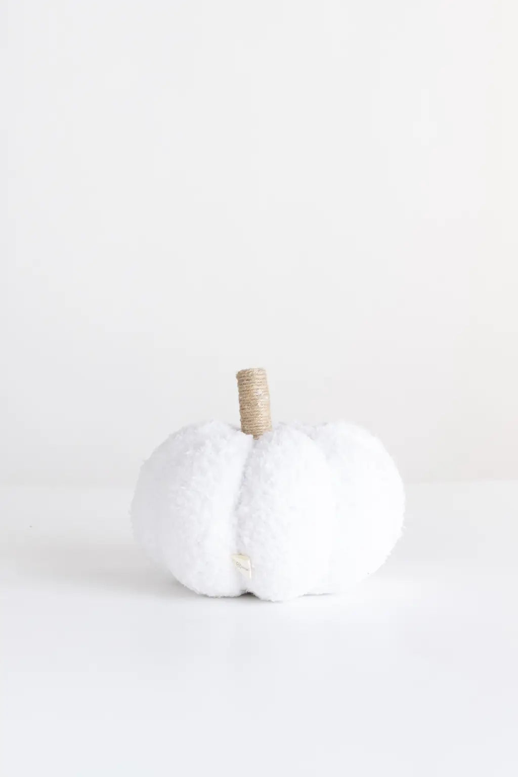 Calabazas- Cojines Individuales Decorativos Halloween y Otoño