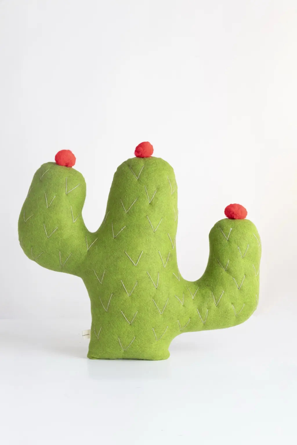 Cactus- Cojín Decorativo Viva México